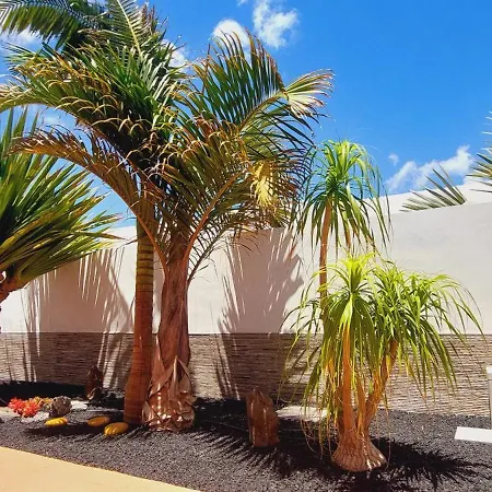 Villa Del Corazon Salinas Golf Caleta De Fuste